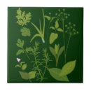 Suche nach kraut fliesen Rosmarin