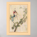 Suche nach vintage feen poster Malerei