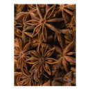 Suche nach kräuter und gewürze poster Natur