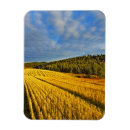 Suche nach weizen magnete Land