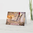 Suche nach aufmerksamkeit karten Für sie