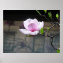 Suche nach japanische blumen poster Magnolien