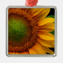 Suche nach sonnenblumen ornamente Blumengarten