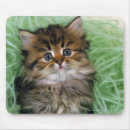 Suche nach zucht mousepads Tier
