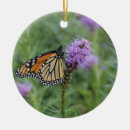 Suche nach schmetterlings fotos ornamente Schmetterlingsgartenarbeit