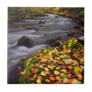 Suche nach herbstfarben fliesen Blau
