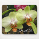 Suche nach orchidee mousepads Grün