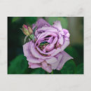 Suche nach beatles postkarten Für alle