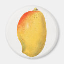 Suche nach mango magnete Obst