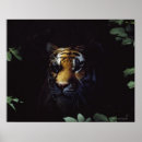 Suche nach tierjagd poster Wild lebende tiere