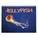 Suche nach quallen kalender Ozean