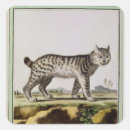 Suche nach luchs aufkleber Wild