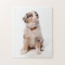 Suche nach australian shepherd puzzle Dog