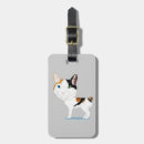 Suche nach bobtail Miezekatze