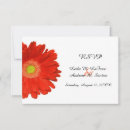 Suche nach orange gerbera einladungen Jede person
