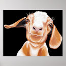 Suche nach goat poster Pet