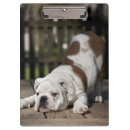 Suche nach bulldogge klemmbrett Haustiere