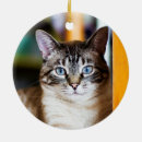 Suche nach flieger ornamente Für sie