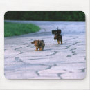 Suche nach aktiv mousepads Tier