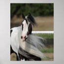 Suche nach sinti und roma vanner poster Rasse