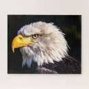 Suche nach amerikanischer adler puzzle Amerikaner