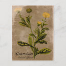 Suche nach ringelblume postkarten Jede person
