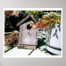 Suche nach birdhouses poster Natur