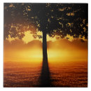 Suche nach baum silhouette fliesen Sonnenaufgang