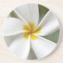 Suche nach frangipani untersetzer Botanisch