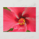 Suche nach gelber hibiskus postkarten Elegant