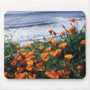 Suche nach christopher mousepads California
