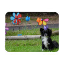 Suche nach kleiner weißer hund magnete Niedlich