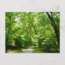 Suche nach hiking postkarten Forest