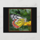 Suche nach gelber schmetterling postkarten Jede person