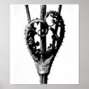Suche nach karl poster Blume