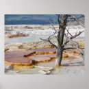 Suche nach yellowstone nationalpark poster Wyomoming