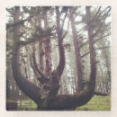 Suche nach fichte untersetzer Natur