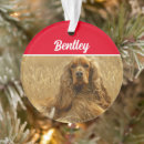 Suche nach cocker spaniel ornamente Tiere