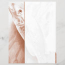 Suche nach fischerei flyer Angler