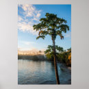 Suche nach fidschi poster Im freien