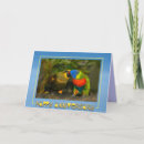 Suche nach küssen der vögel karten Love birds