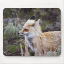 Suche nach roter fuchs mousepads Tier