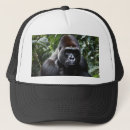 Suche nach gorilla kappen Dschungel