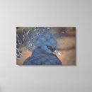 Suche nach blau grau leinwandbilder Tier