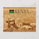 Suche nach afrikanischer löwe postkarten Kenya