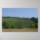 Suche nach rothenburg poster Europa