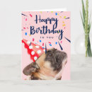 Suche nach pitbull welpen karten Niedlich