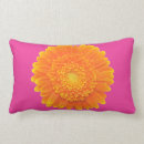 Suche nach rosa gerbera kissen Gänseblümchen