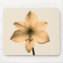 Suche nach amaryllis mousepads Blume