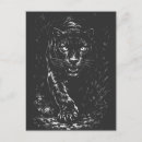 Suche nach panther Schwarzer panther